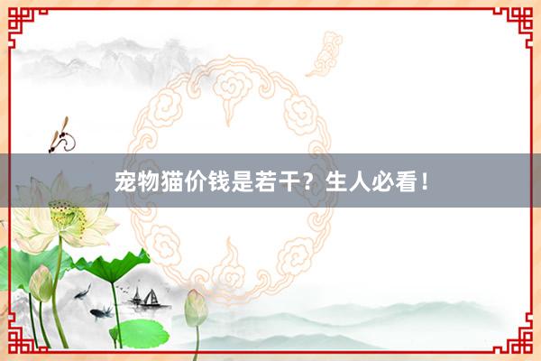 宠物猫价钱是若干？生人必看！