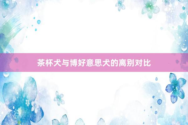 茶杯犬与博好意思犬的离别对比
